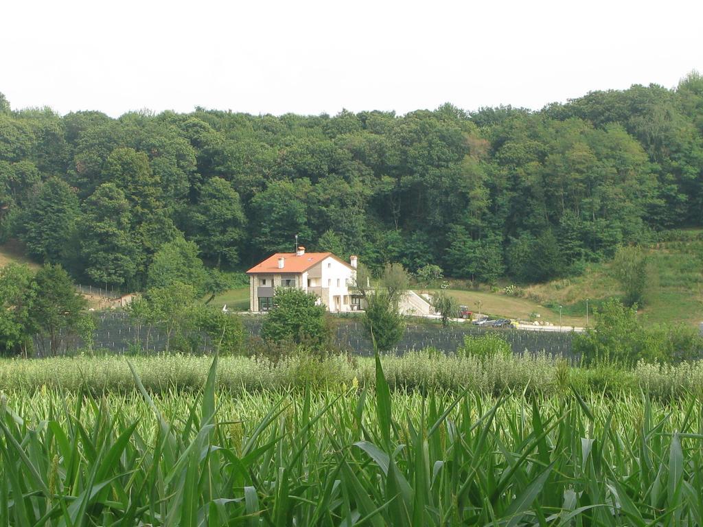 梅乐住宿加早餐旅馆 帕代尔诺德尔格拉帕 外观 照片
