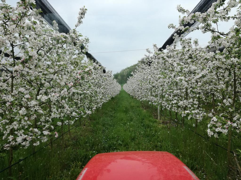 梅乐住宿加早餐旅馆 帕代尔诺德尔格拉帕 外观 照片