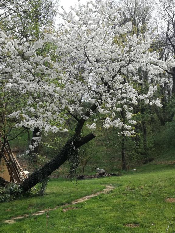 梅乐住宿加早餐旅馆 帕代尔诺德尔格拉帕 外观 照片